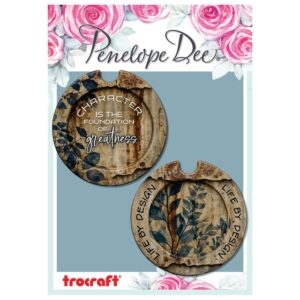 BLUEPRINT LICENCE DISC (SET OF TWO)